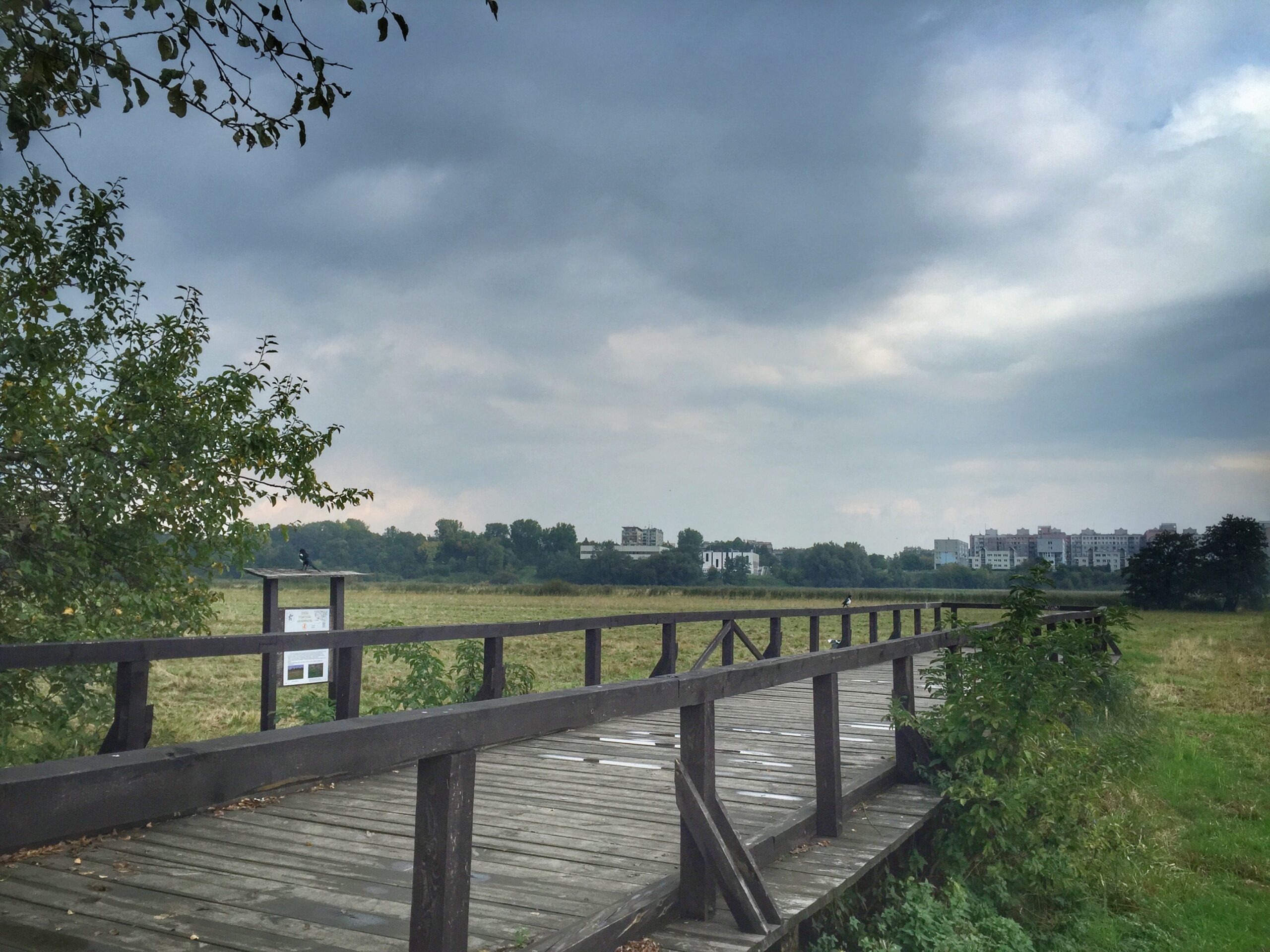 Nowy pomost na Łąkach Nowohuckich - spacer po zielonej stronie Nowej Huty
